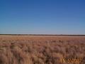 #3: Looking north from the confluence point