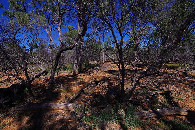 #4: view to the south from the confluence