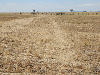 #1: The Confluence from 25 m distance