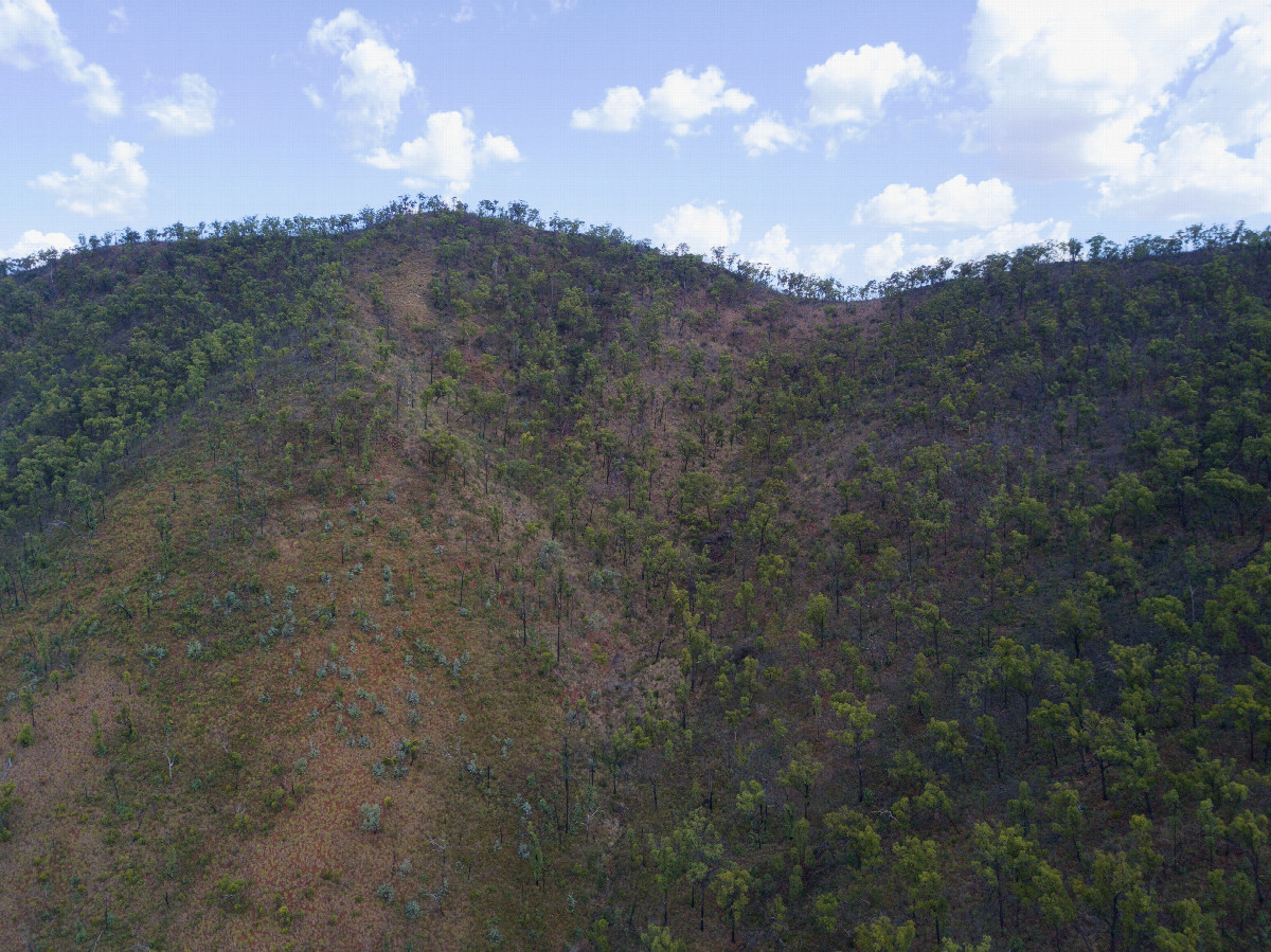 View South, from 120m above the point