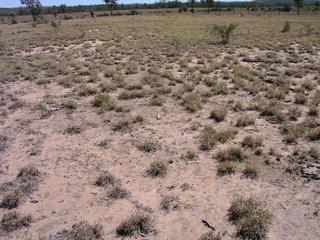 #1: View of Confluence Point 24s147e