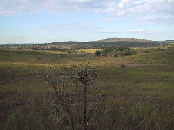 The landscape - fairly desolate