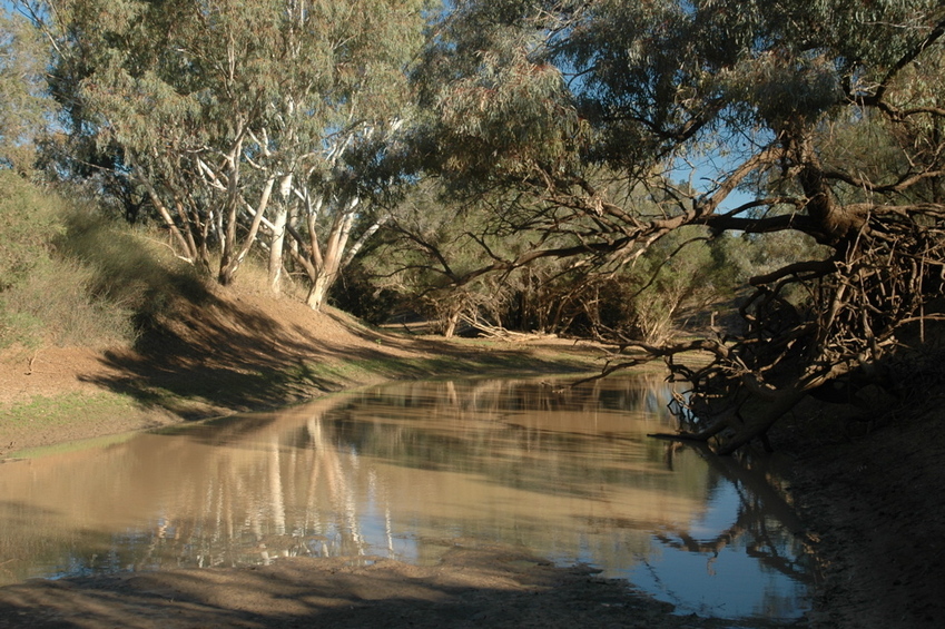 nearby billabong