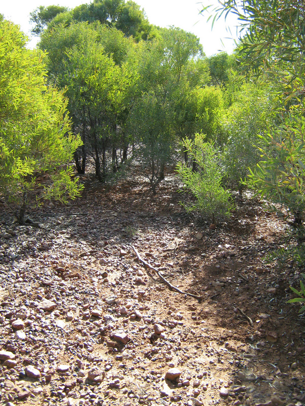 General View of confluence point