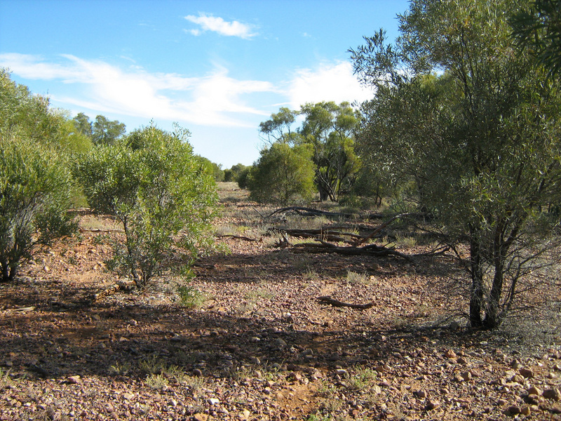 Looking south