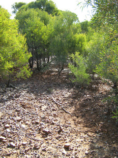 #1: General View of confluence point