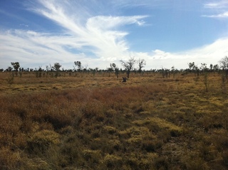 #1: From the Confluence looking North