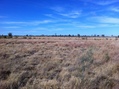 #2: From the Confluence looking South