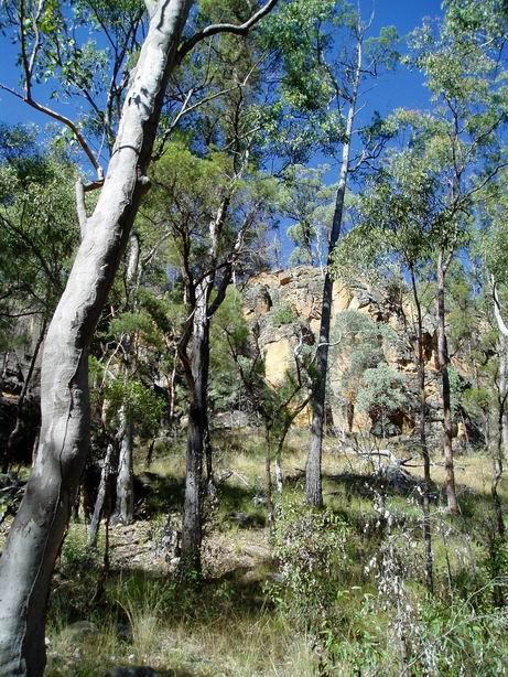 View east from Confluence