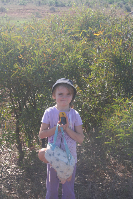 Darcy at the confluence