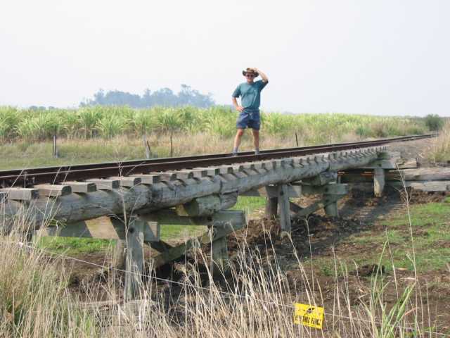 Railway wood bridge