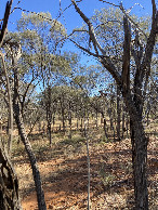 #5: West view with the empty creek and the ''path'' to the track