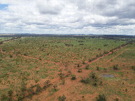 #8: View North, from 120m above the point