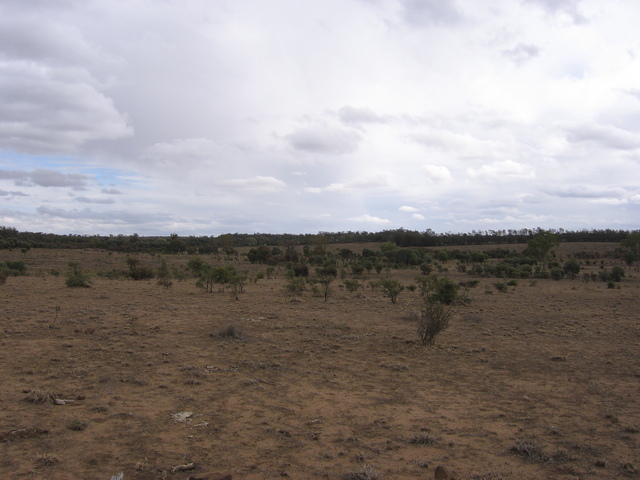 Looking west from the confluence.