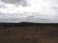 #3: Looking north from the confluence.