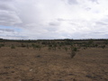 #6: Looking west from the confluence.