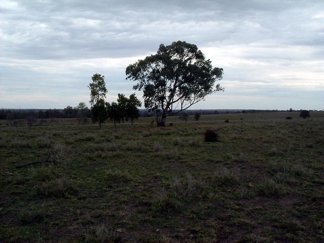 View from CP to the south