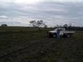 #2: View from CP to the east, Rosemary and ute