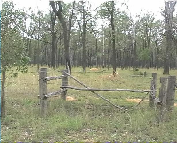 The hazardous fence crossing.