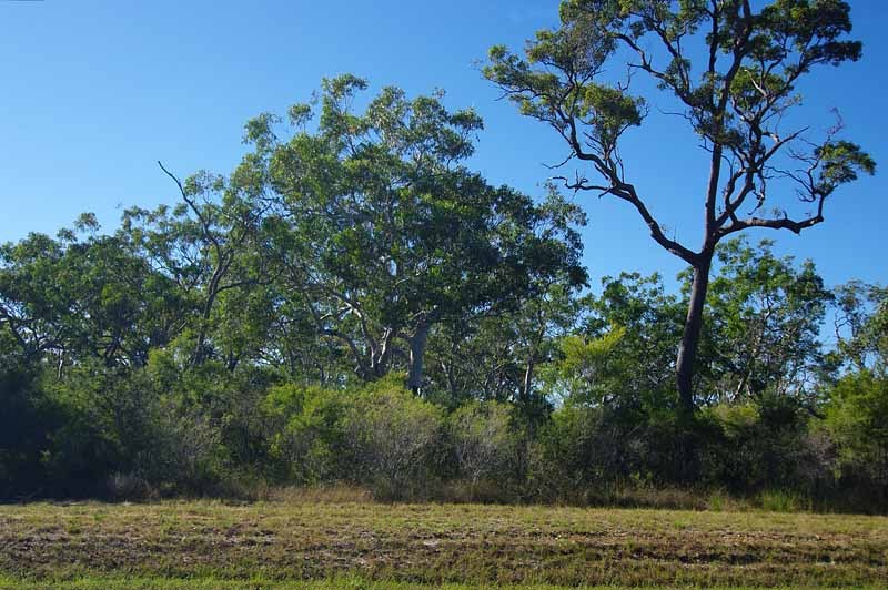 View from the road towards the Confluence 150m away