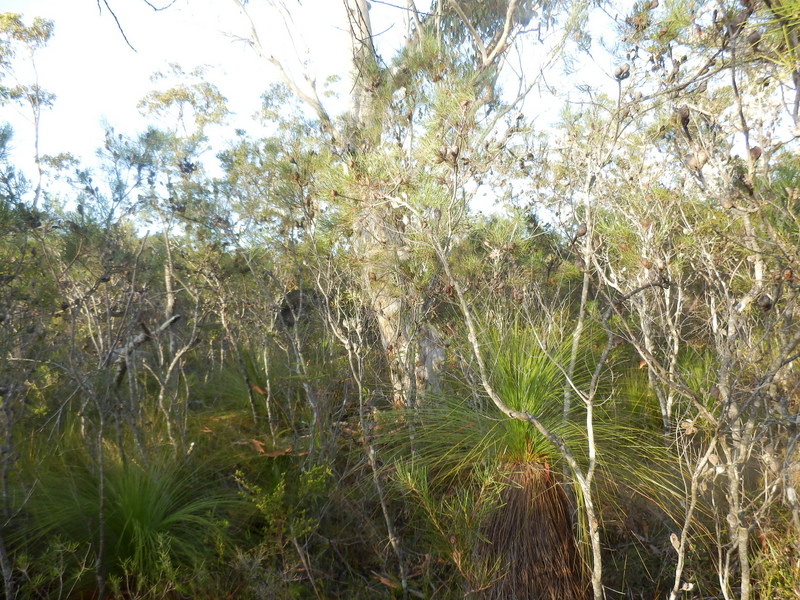 The Confluence from 30 m distance