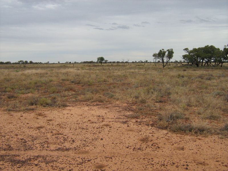 View to the south.