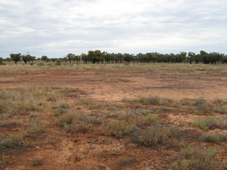 #1: Confluence point is in clay pan.