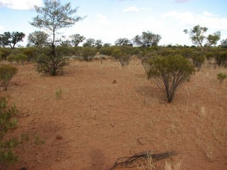 #1: General view of confluence