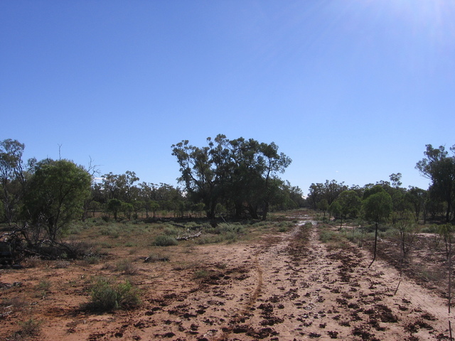 Looking north from the confluence.