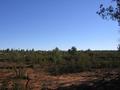 #5: Looking west from the confluence.