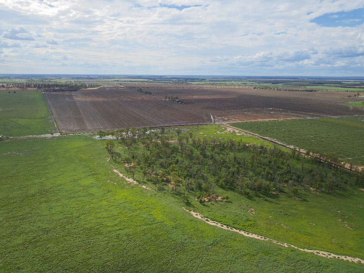 View West, from 120m above the point