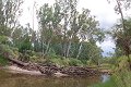 #4: Flood debris on the river