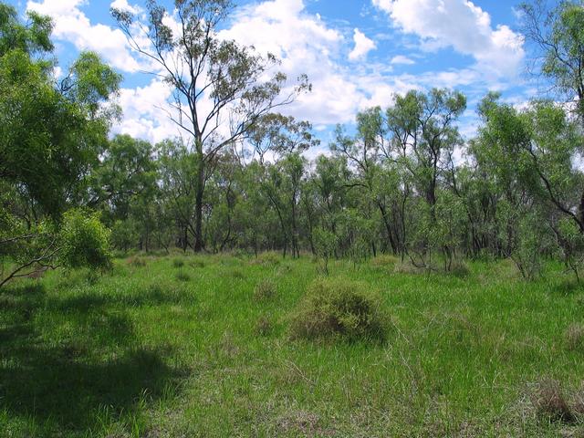 The view north from the confluence