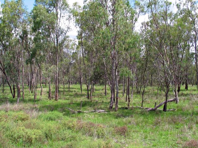 The view south from the confluence