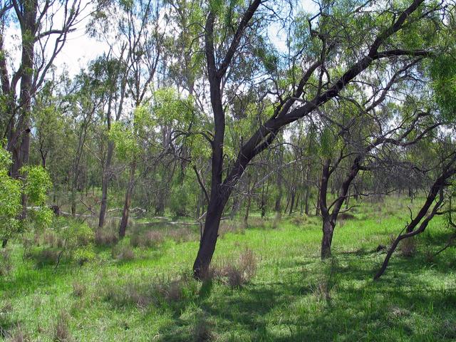 The view west from the confluence