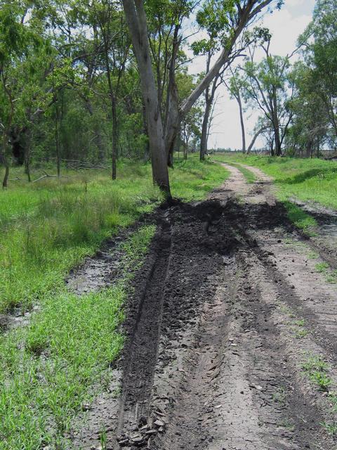 The tyre track from the panel van - a close call.