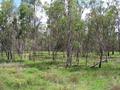 #3: The view south from the confluence