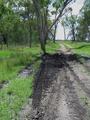 #8: The tyre track from the panel van - a close call.