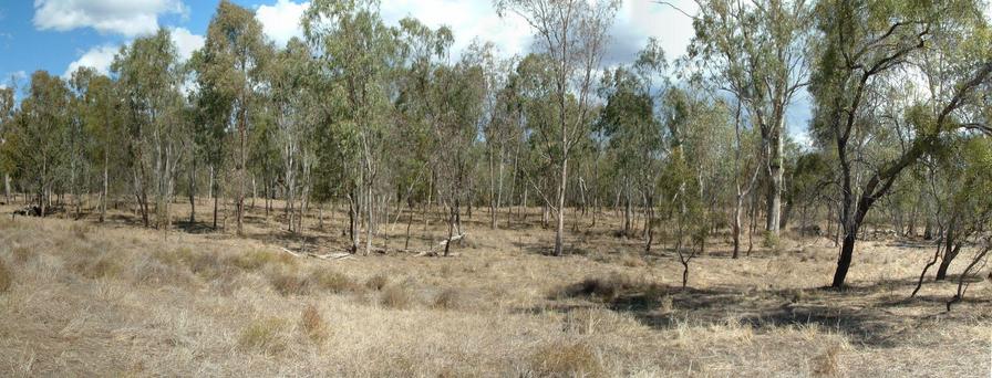 The southern panorama from the Confluence