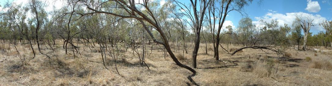 The northern panorama from the Confluence