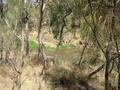 #4: The Condamine River near the Confluence