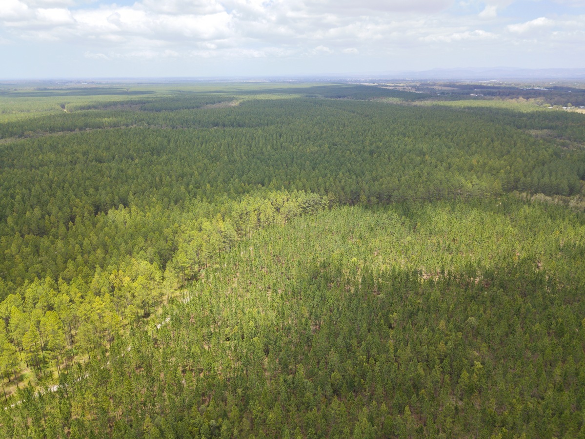 View South, from 120m above the point