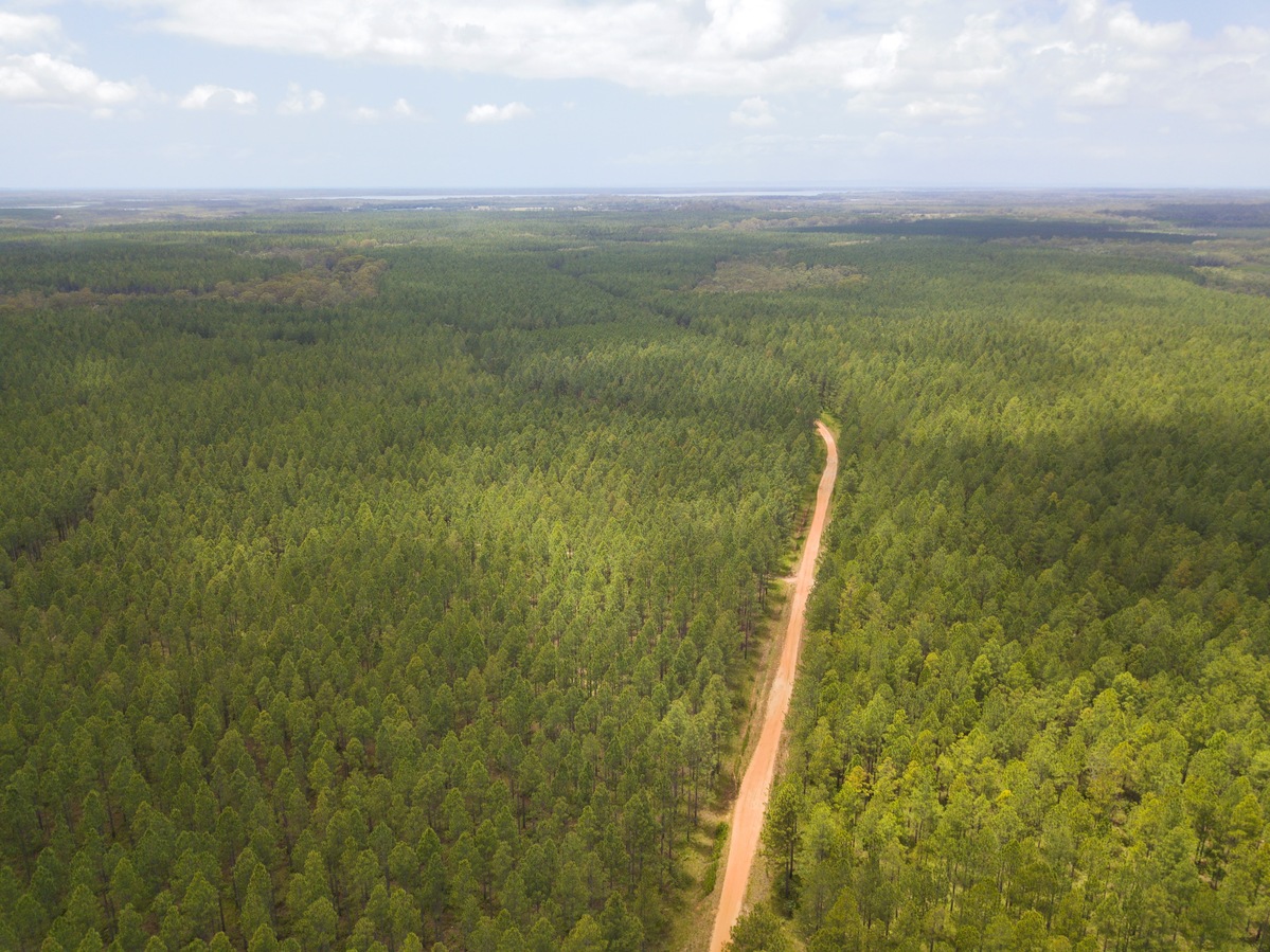 View East, from 120m above the point