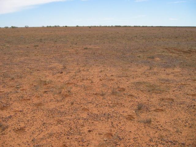 North Aspect of Confluence Point