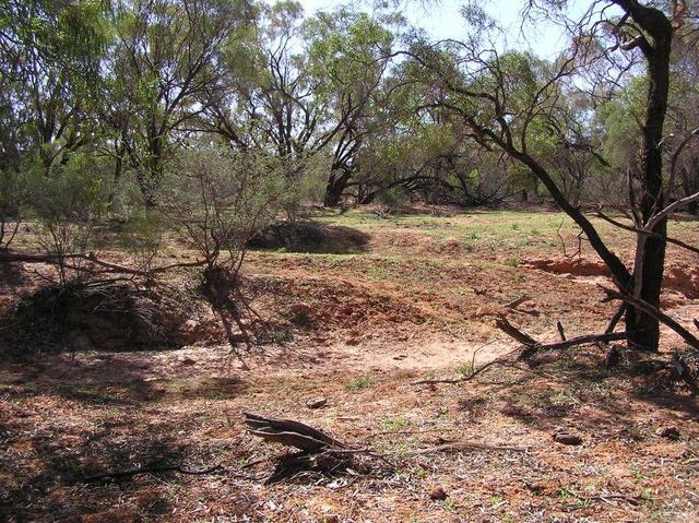 Typical countryside in this area