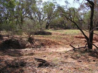 #1: Typical countryside in this area