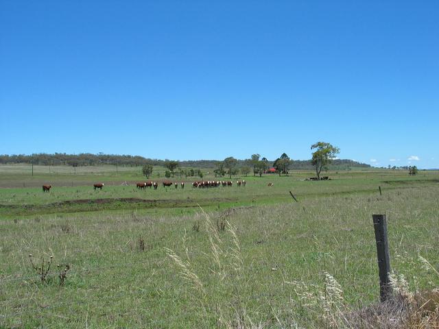 The view South from the confluence