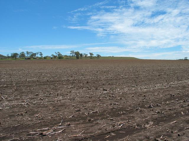 Our footprints in the soft soil.