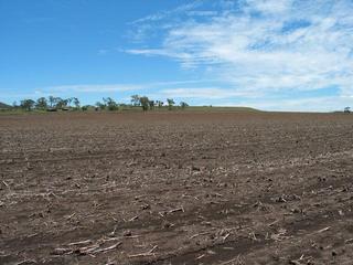 #1: The view North from the confluence