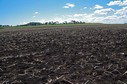 #3: Looking North from the confluence